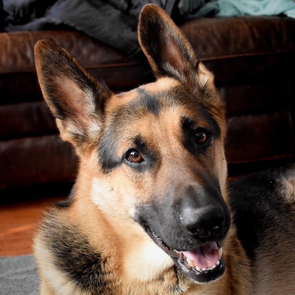 Meet your Posher, Jillian - Picture 1 of 1